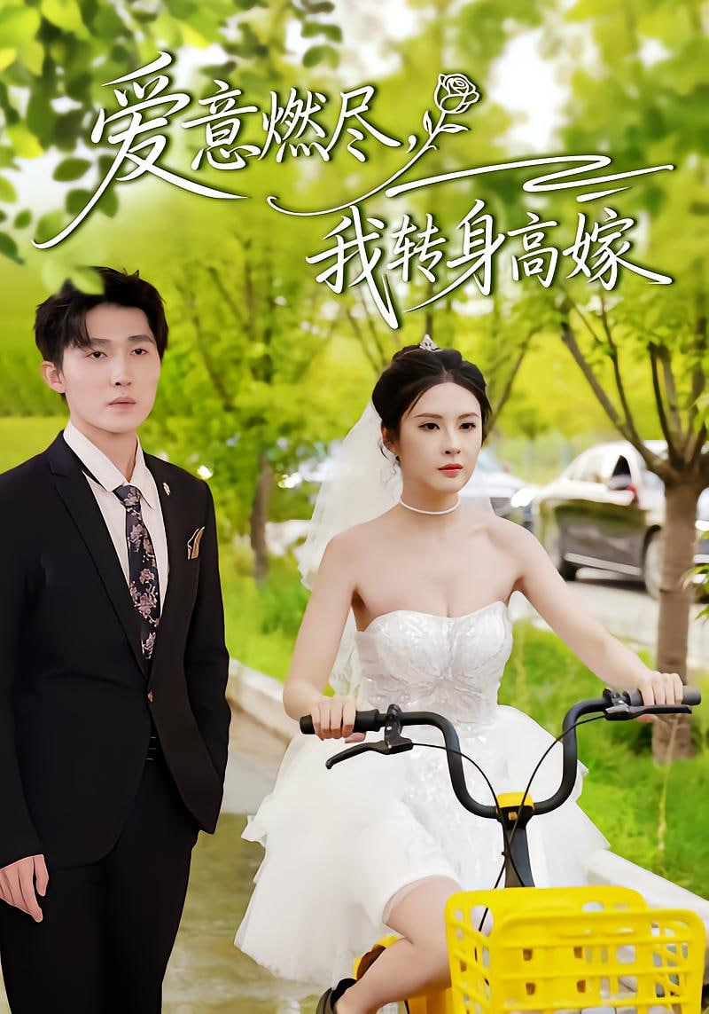 爱意燃尽,我转身高嫁