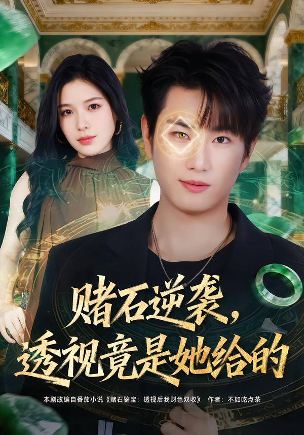 赌石逆袭,透视竟是她给的