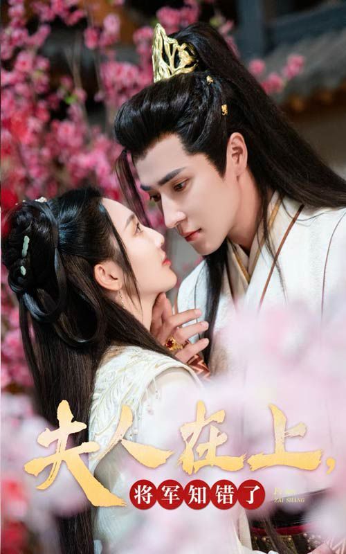 夫人在上,将军知错了