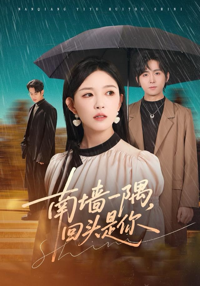 南墙一隅,回头是你