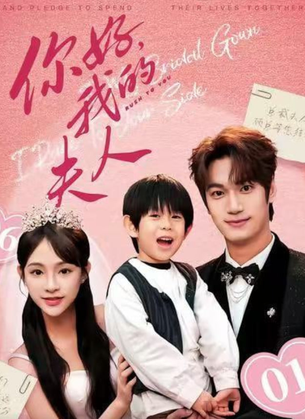 顾总,我才是你的夫人(你好,我的夫人)