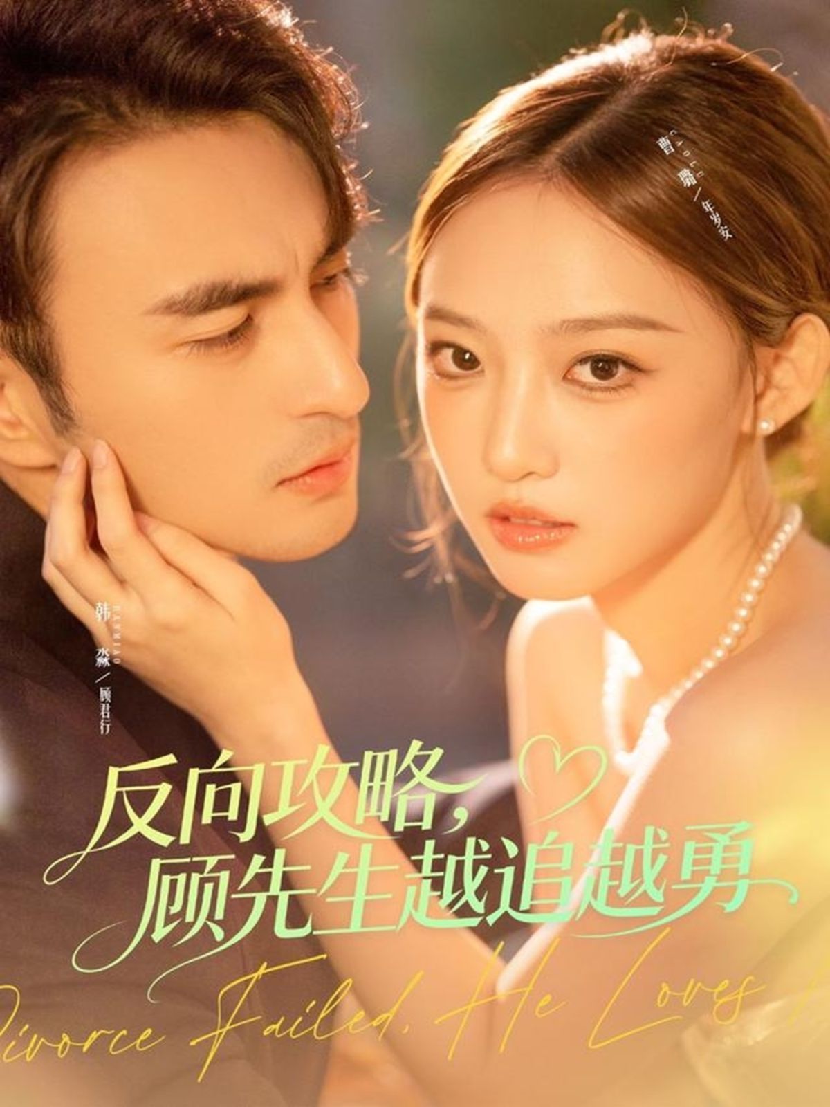 反向攻略,顾先生越追越勇