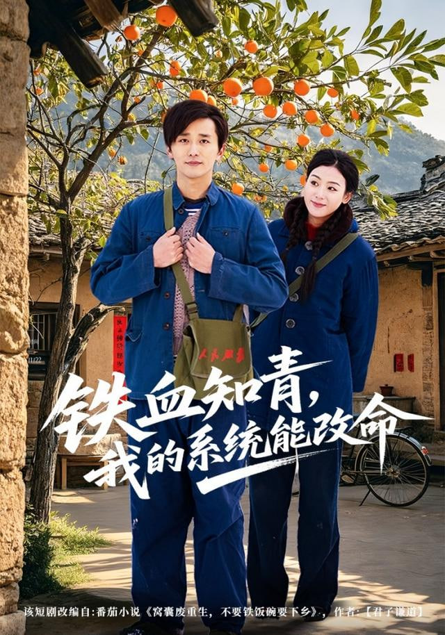 铁血知青,我的系统能改命