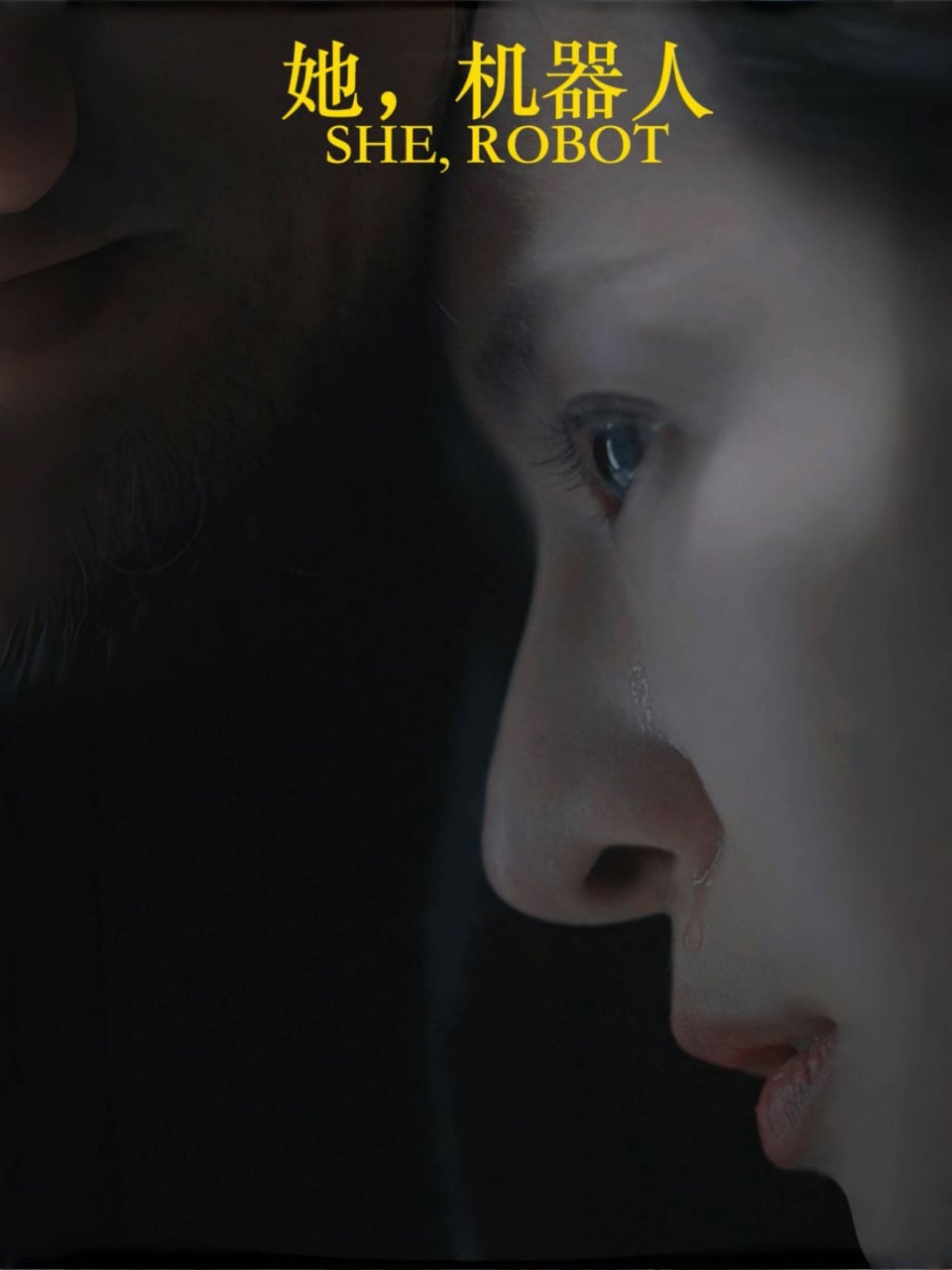 她，机器人（她机器人）