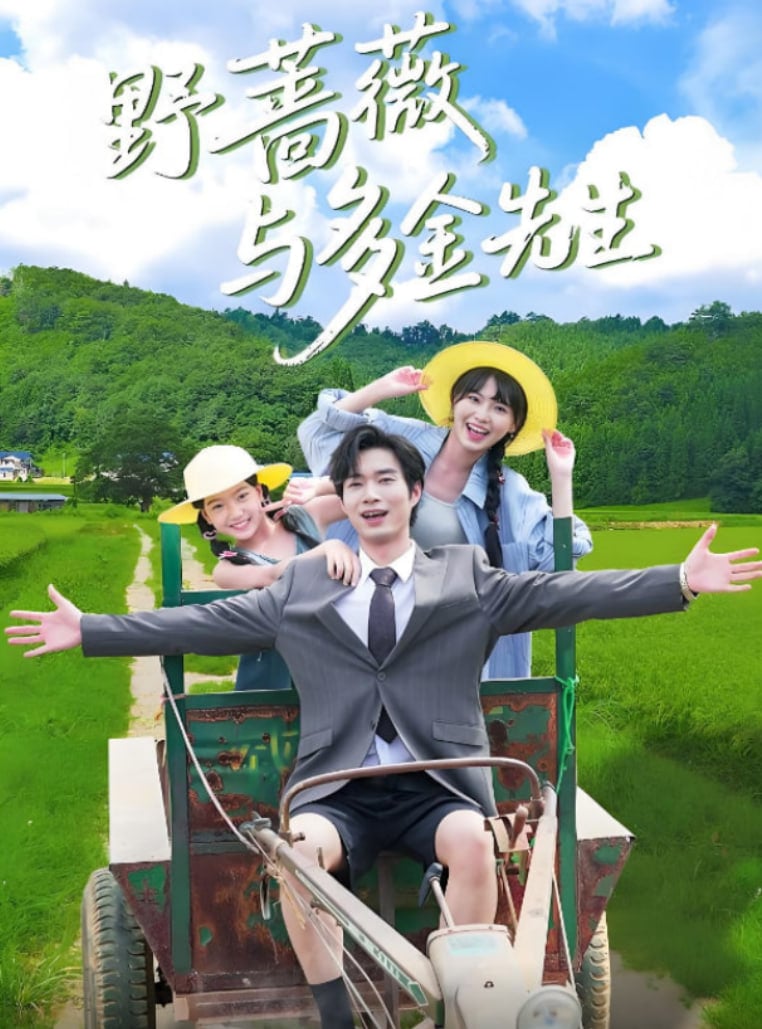 野蔷薇与多金先生