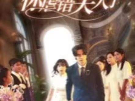 陆总住手吧,你虐错夫人了