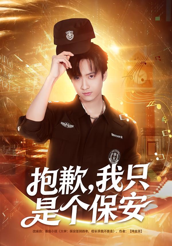 抱歉,我只是个保安