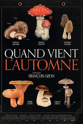 秋日何时来[电影解说]