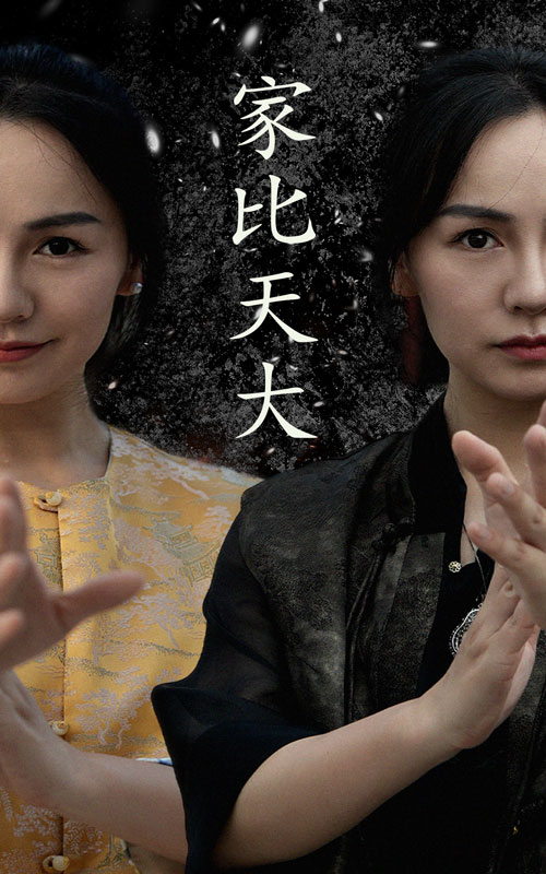 家比天大 短剧版