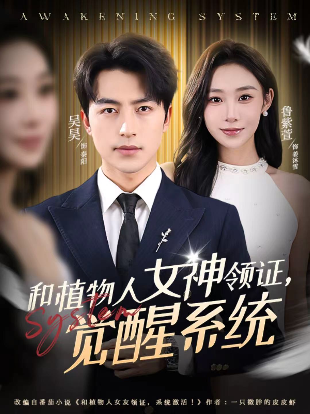 和植物人女神领证,觉醒系统