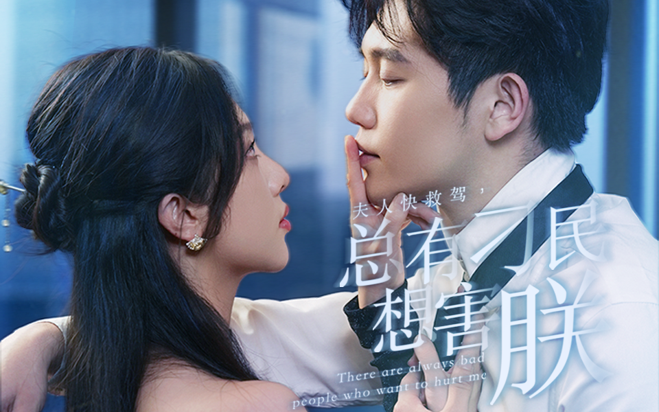 夫人快救驾,总有刁民想害朕