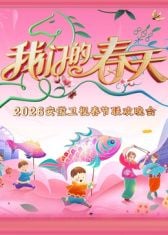 安徽卫视春节联欢晚会2026