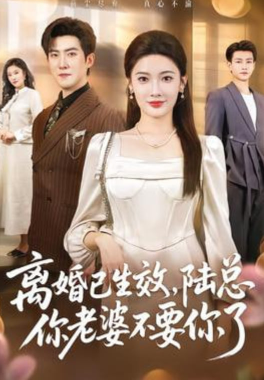 离婚已生效,陆总你老婆不要你了