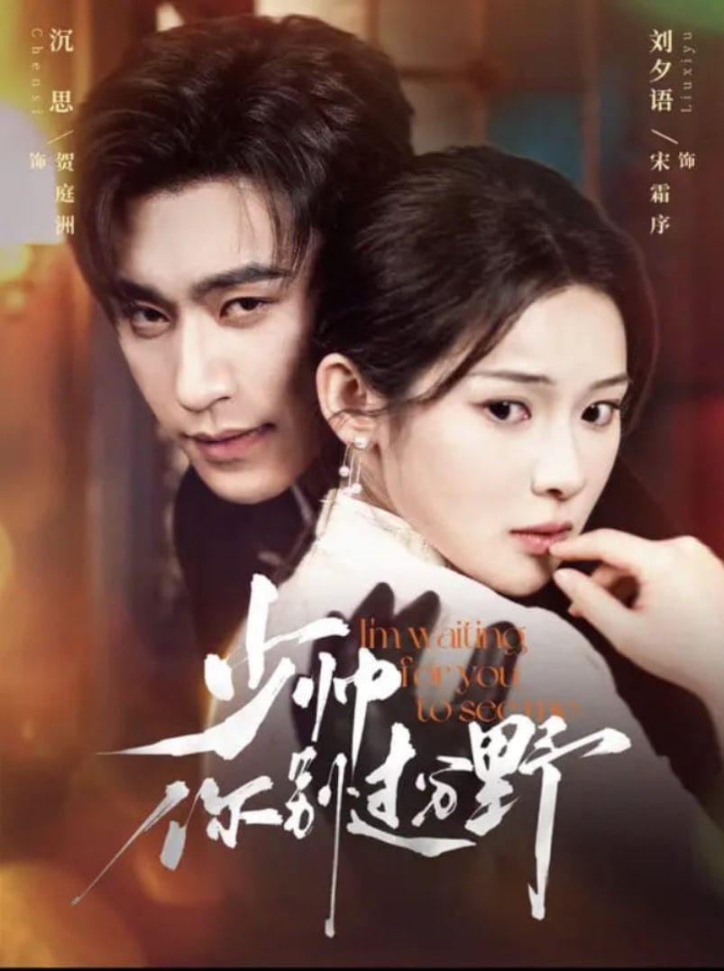 少帅你别过分野