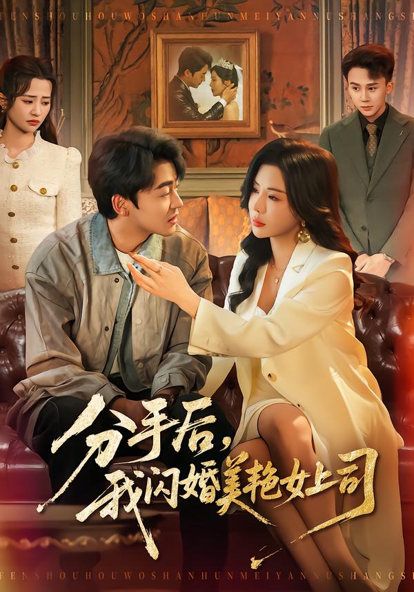 分手后,我闪婚美艳女上司