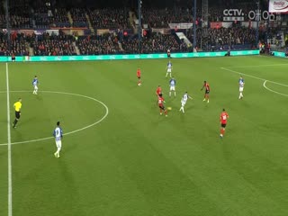 英超 卢顿vs布莱顿 (刘畅) 20240130