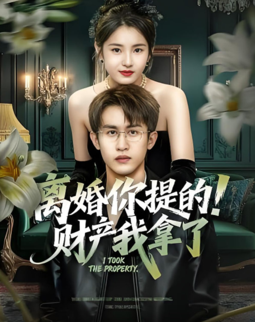 离婚你提的!财产我拿了