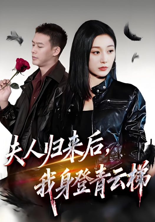 夫人归来后我身登青云梯