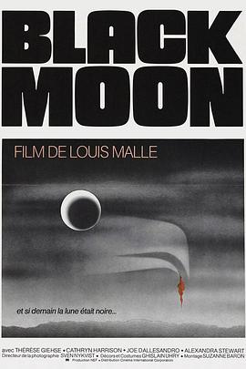 黑月亮[电影解说]