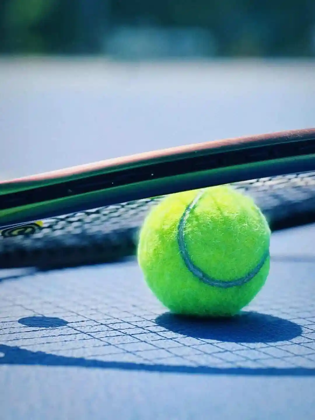 WTA阿布扎比站第三日:凯斯勒VS费尔南德斯