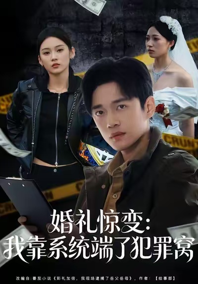 婚礼惊变:我靠系统端了犯罪窝