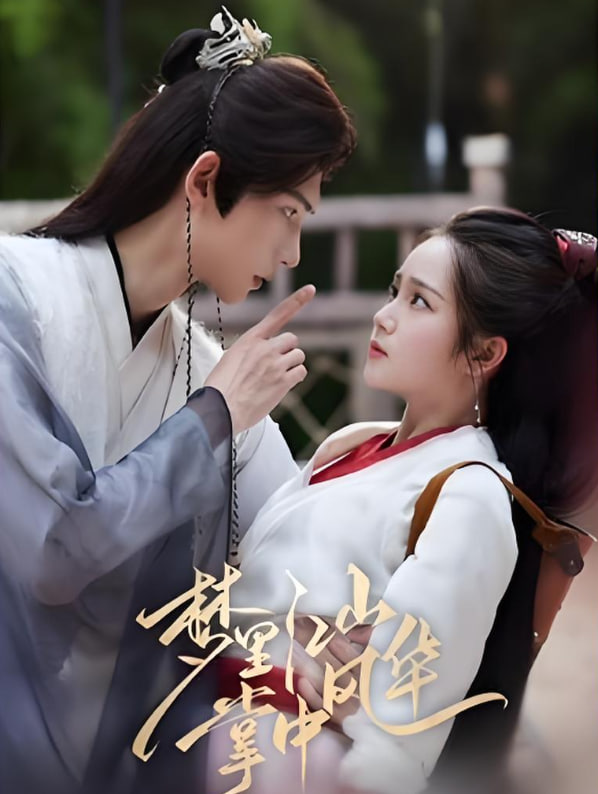 梦里江山掌中风华